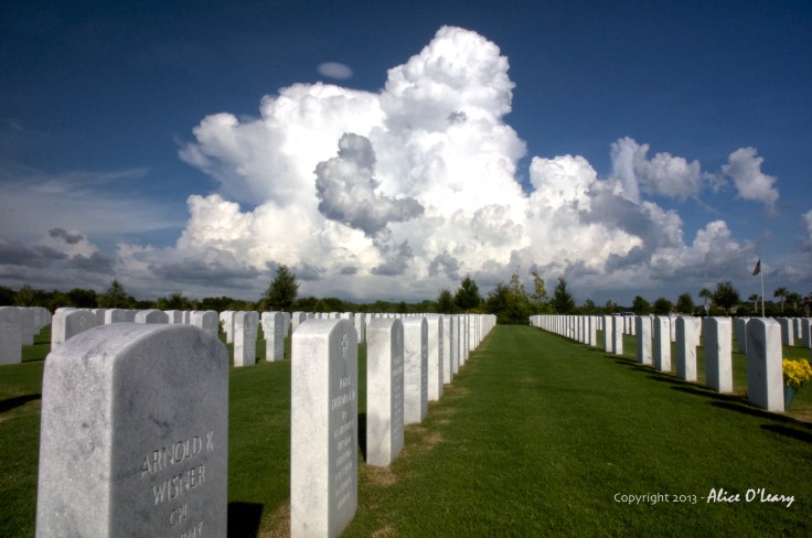 The law of sacrifice is uniform throughout the world. To be effective it demands the sacrifice of the bravest and the most spotless. Mahatma Gandhi 