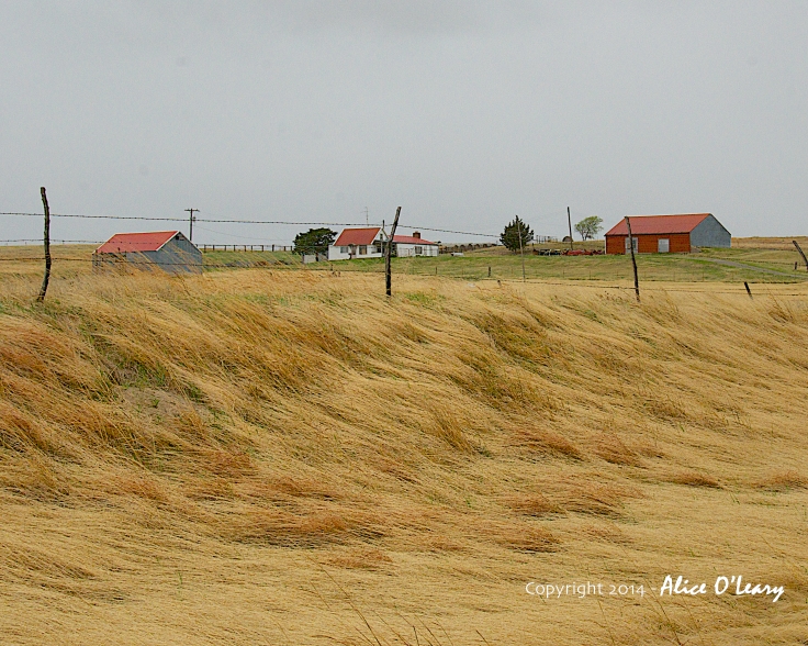 Wind blown farm in central Kansas
