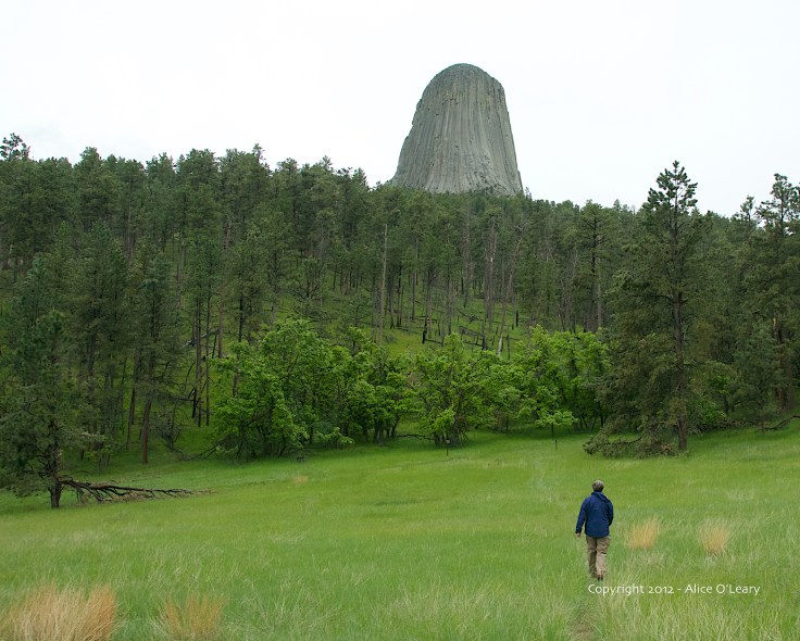 Mary hiking the Joyner Trail.